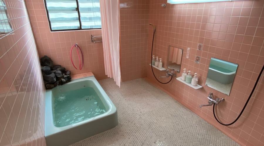 Nozawa Dream Central - Ladies bathroom
