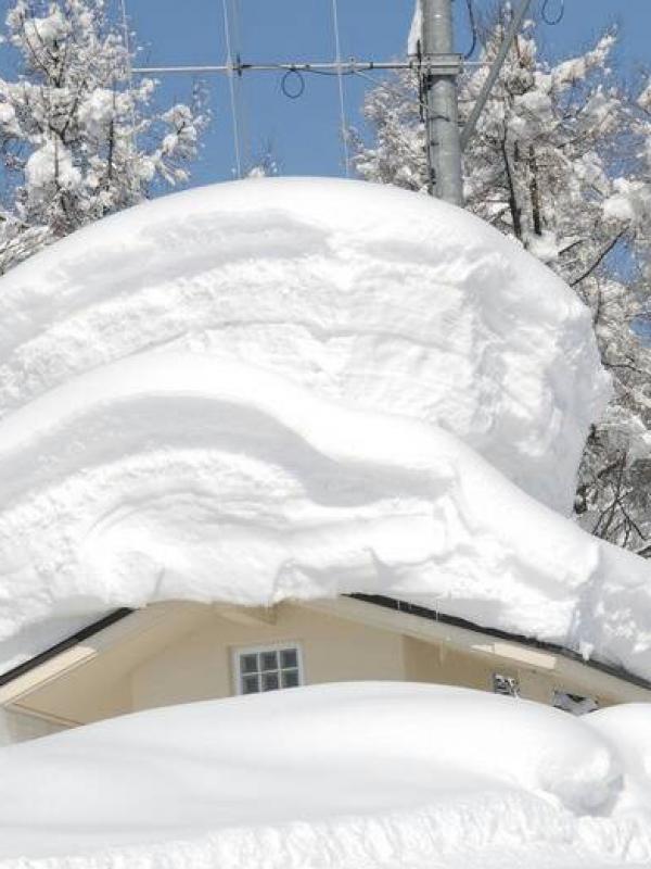 Nozawa's biggest snow mushroom!